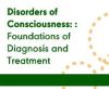 Disorders of Consciousness: Foundations of Diagnosis and Treatment (On Demand Webinar)